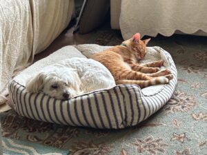 I will give you rest.