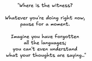 Witness